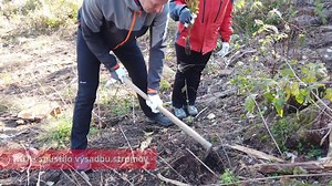 4.3K views · 99 reactions | POKRAČUJEME VO VYSÁDZANÍ STROMČEKOV PO CELOM SLOVENSKU  Naposledy sme na Orave v katastri obce Krušetnica vysadili vyše 1000 stromov.  Už túto sobotu pokračujeme v Šali, o týždeň v piatok (29. 10.) v Jure nad Hronom a v sobotu (30. 10.) zasa pri Trnave v Horných Orešanoch. ✅ Budeme radi, ak sa pridáte a pomôžete nám zasadiť Slovensko ešte hlbšie do prírody!  #ZasadenidoPrirody #1stromza1hlas | KDH | Facebook