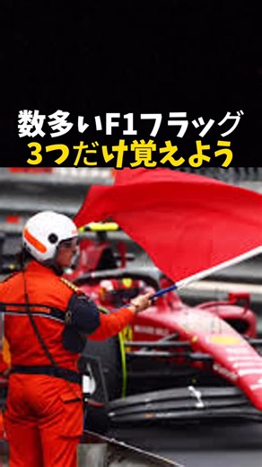 エフワンちゃん on Instagram: "数多いF1フラッグ3つだけ覚えよう #エフワン #f1 #formula1 #レース #車"