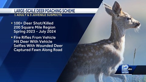 Wisconsin deer poaching ring uncovered: Over 100 animals killed