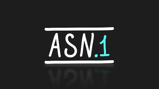 ASN.1：比Protobuf更优的数据序列化方案 | Tsoding Daily