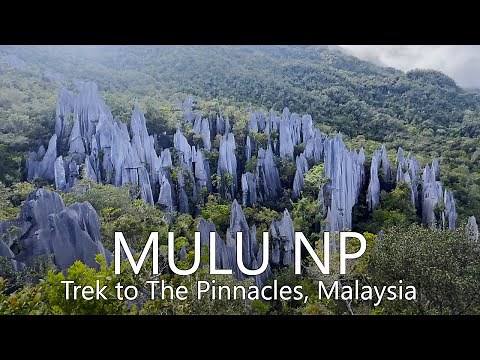 Gunung Mulu National Park | Pinnacles Trail [Travel Vlog] Borneo Malaysia