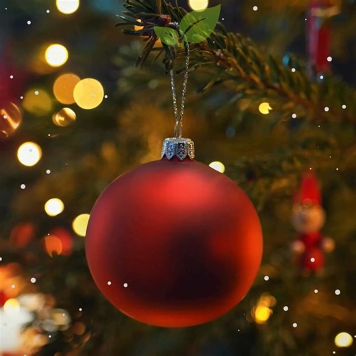 Root One on Instagram: "🎅Christmas Opening Hours 🎅 Christmas Eve - 9am - 4pm We will be closed from 25th December over the festive period and will reopen again on Friday 2nd January."