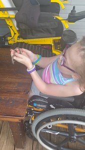 Trying to figure out how to hold a snake is a tricky situation. ***** This was a non-venomous snake. ***** I never pick up snakes on my own. Daddy always identifies them and picks them up. ***** We are very careful and respectful of the animal. ***** Momma is terrified of snakes. 😀 | Grace Anna Sings