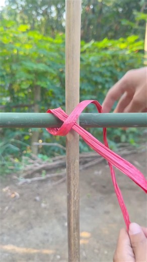 4 best knots you need to know