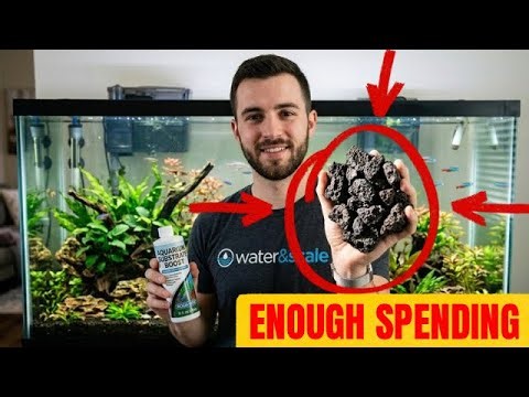 The Physics of Filtration: Why Lava Rock Crushes Bottled Bacteria