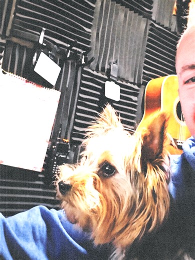 Jack the Yorkie barking at the computer screen!