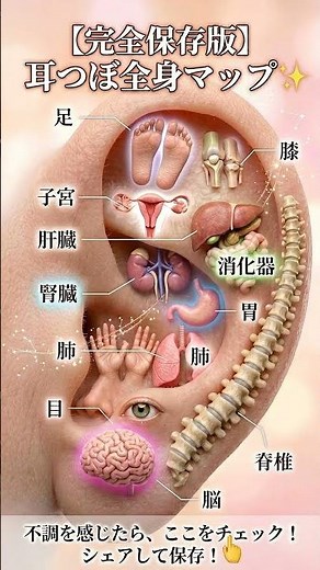 これが耳つぼの威力…全身楽になった #健康 #セルフケア #保存版
