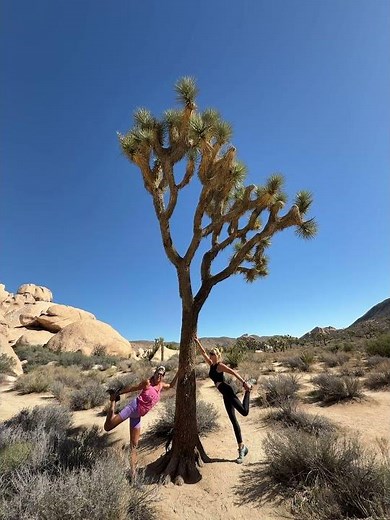 Hall of Horrors Joshua Tree’s Best Slot Canyon Hike #Hiking #Adventure