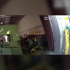 1.7M views · 962 reactions | WATCH: Police Dog Catches Escaped Criminal And Saves The Day | Daily Wire | Facebook