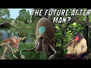 A Deep Dive into Speculative Evolution