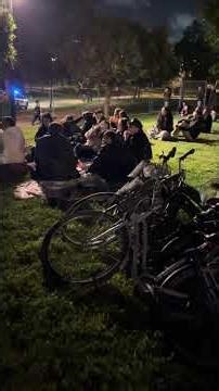 Palau 2.0 people behave yourselves #fireworks #shellcracker