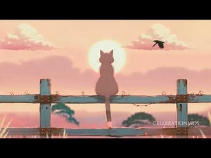 Cat at Sunset - Cat Lovers Screensaver - Cat Sunset Screensaver - Cat Wallpaper - HD - 1HR