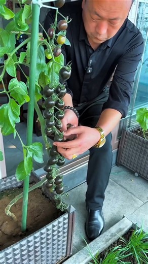 amazing garden viral video 🤣 #funny #funnyvideo
