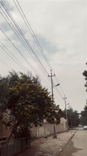 ‎حُسين‎ on Instagram‎: "بَيت شِعر. #شعر #شعبي #fyp"‎