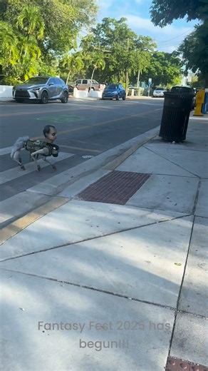 Come get painted at Tijon Key West 335 Duval St. Key West! #bodyartbtkmac #fantasyfest #bodypainting | Kristen McNamara