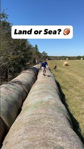 Which Catch was Better? 🏞️or 🌊? #football #sports #trickshot #catch