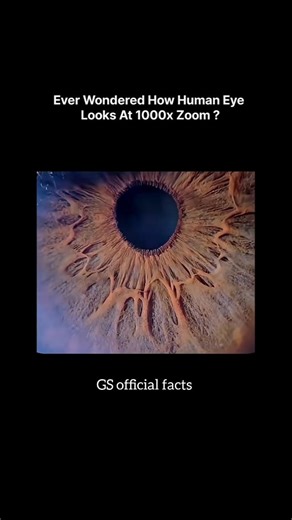 Human Eye at 1000x Zoom |Mind-Blowing Detail