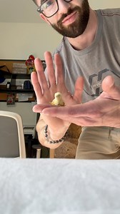 107K views · 3.7K reactions | My little Nemo was born with a deformed wing  it’s still tiny and cute though! I have a feeling he’ll grow up to be just fine with a little extra love . I think his name suites him perfectly 凉 #foryoupage #fyp #cutepets #babyanimals #funnyanimal #Cutenessoverload #cuteanimals | Fat Hen Farms | Facebook