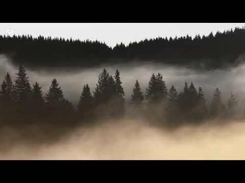 FormantX - Our Last Stand (Royalty Free Music) 1 Hour