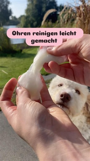 Ohren reinigen