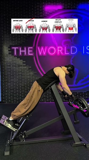 This is how you build a strong back 🪽 #shorts #viral #backday