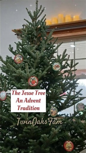 Jesse Tree Advent Tradition. Day 7, December 7, 2025 #advent #faith #biblestudy