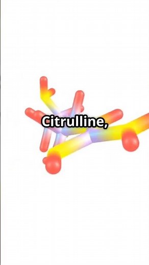urea cycle