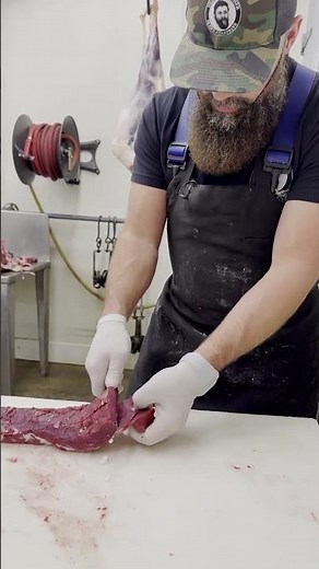 A whole deer backstrap ready to be cut into chops! 🔪🦌 #shorts