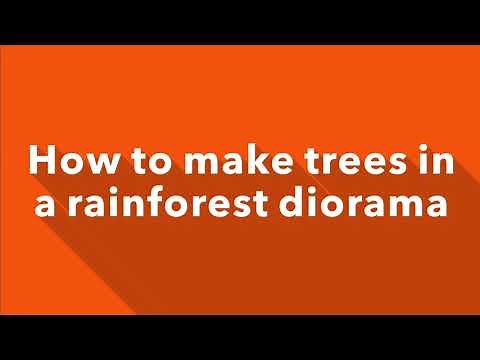 How to make the trees in a rainforest diorama project for elementary school kids.
