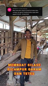 81K views · 1.3K reactions | di dalam pembuatan silase paling bagusnya tidak perlu adanya campuran garam maupun tetes | Ternak Tani Jaya | Facebook