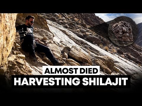 We Almost Died Harvesting Shilajit in the Himalayan Mountains