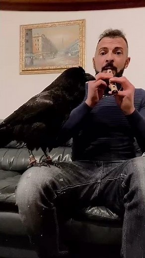 Man Plays Flute While Raven Sings Along