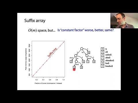 Suffix arrays: definition & size