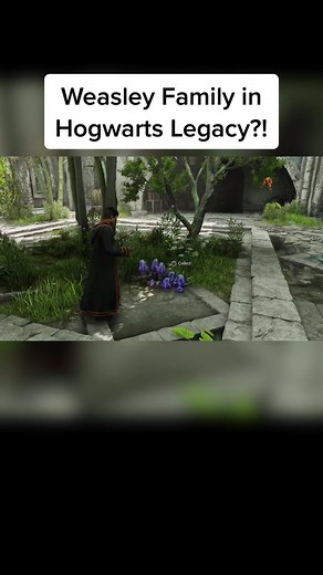Exploring The Burrow in Harry Potter