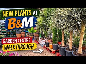 NEW Plants at B&M Garden Centre 🌿 Full Walkthrough & Plant Prices