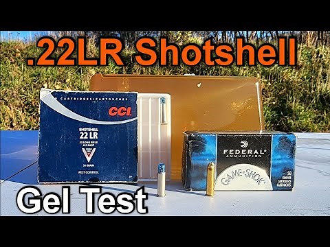 22LR CCI vs Federal Shotshell Birdshot Ratshot Snakeshot #12 Ballistic Gel Test & Reviee