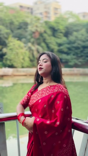 Stylish Saree Collection at Dream Outlet