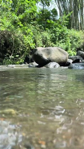 Relaxing ASMR POV Close to Flowing River 🌊 | Immersive Water Sounds