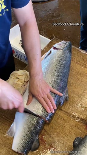 Cutting salmon for sushi prep with sharpest knife #sushi #salmon #knife skills