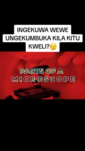 Gift Kamau is a dedicated student at King David School. He skillfully demonstrates the parts of a microscope alongside his classmate in the lab. From the eyepiece to the stage, they explore the essentials of scientific observation together. #scienceinaction #microscope #handsonlearning #kingdavidschool #stemeducation
