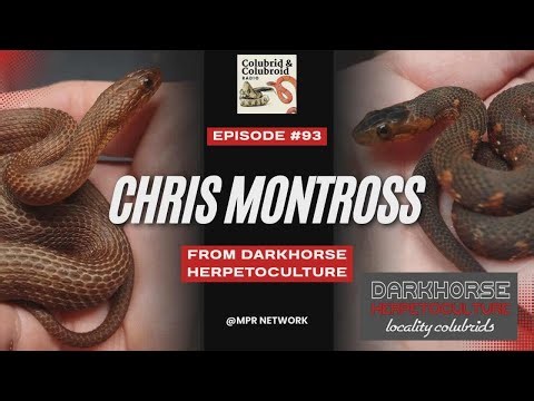 Nerodia with Chris Montross