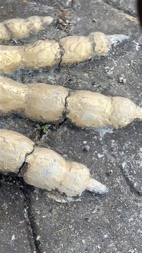 The Perfect Mischief For Jr Bean! | Little Mr. Bean Funny Videos #viral #trending