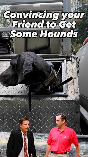 20K views · 211 reactions | Bear Hunting Magazine on Reels | Facebook