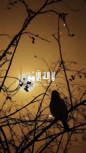 beautiful names of Allah ♥️♥️ #islamicshorts #viralshorts #namesofallah