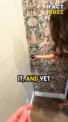 2.1K views | Fridge hid multiple secret rooms inside! 略 | How | Facebook