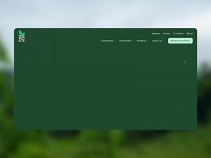 Svg animation - Awwwards