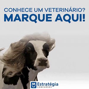 85K views · 1.6K reactions | [SAIU O EDITAL MAPA] O Ministério da Agricultura, Pecuária e Abastecimento publicou o edital para o Concurso MAPA! São 300 VAGAS. Acompanhe a Análise de Edital às 19h. Inscreva-se Gratuitamente: https://est.gratis/aulao-mapa-edital | Estratégia Concursos | Facebook