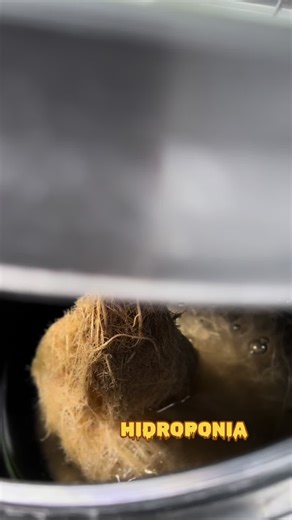 GROW.AND.ROLL on TikTok