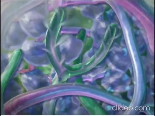 Medical anatomy Quizzes on Instagram: "Lymphatic system Functions 🧠👀 . . #lymphaticmassage #lymphaticexercises #lymphaticdrainage #lymphaticsystem #viralreels"