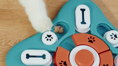 Pet Deluxe Dog Puzzle Toys, Treat Dispensing Dog Enrichment Toys for IQ Training and Brain Stimulation, Interactive Mentally Stimulating Toys as Gifts for Puppies, Cats, Dogs - Walmart.com